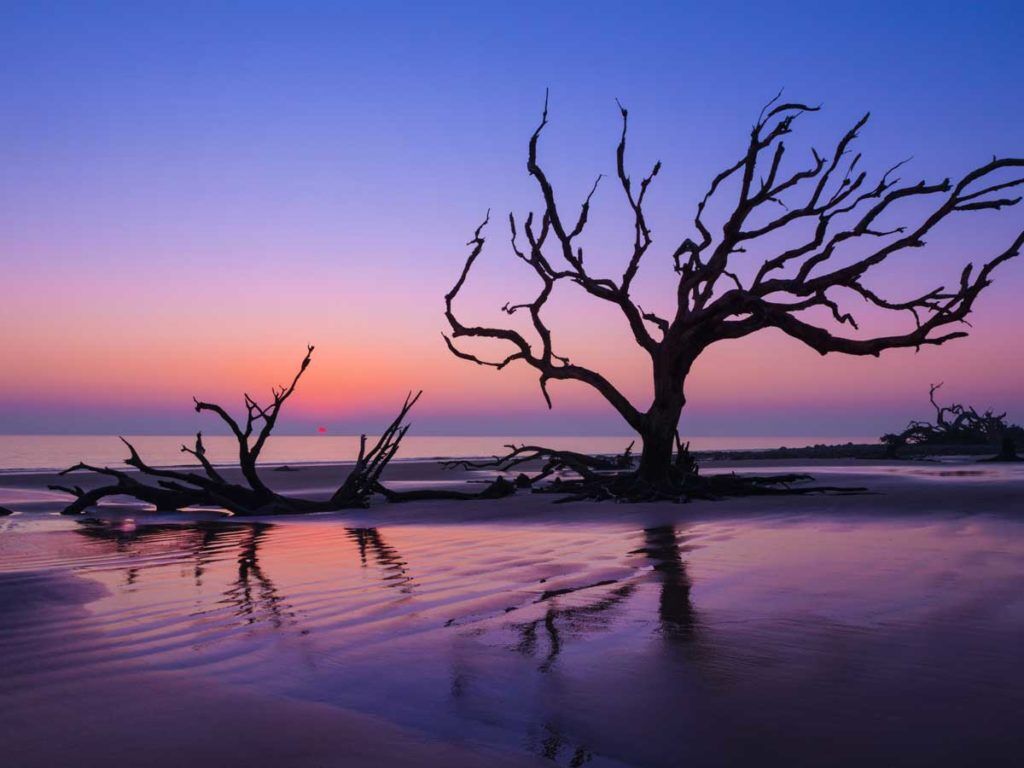 Jekyll Island Picnic Spots | Jekyll Island Club Resorts, image size:1024x768